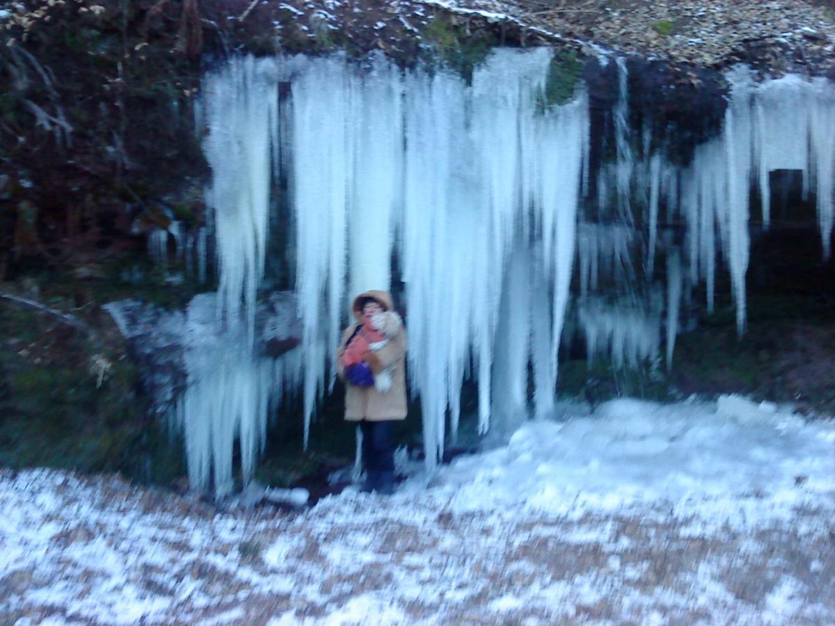 A l'ombre de la cascade Lemberg Exterior foto